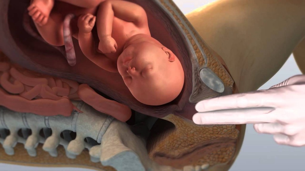 video-parto-naturale