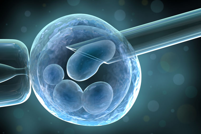 inseminazione artificiale